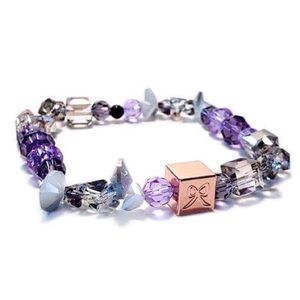 Gamer Series [SN] Purple and Silver Crystal Bracelet Hilyson